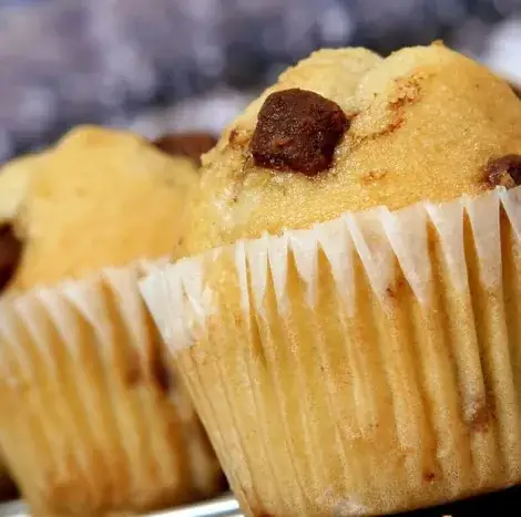 Menu_Restaurant ESAT Le Pré-Clou_Échirolles_image_6