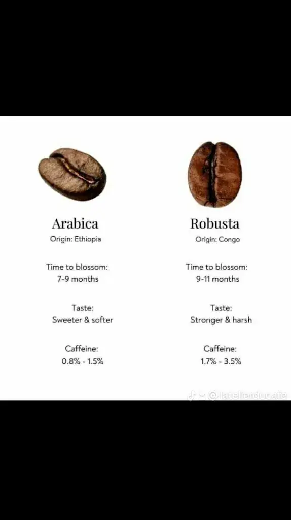 Menu_Atelier Du Café_Septeuil_image_1