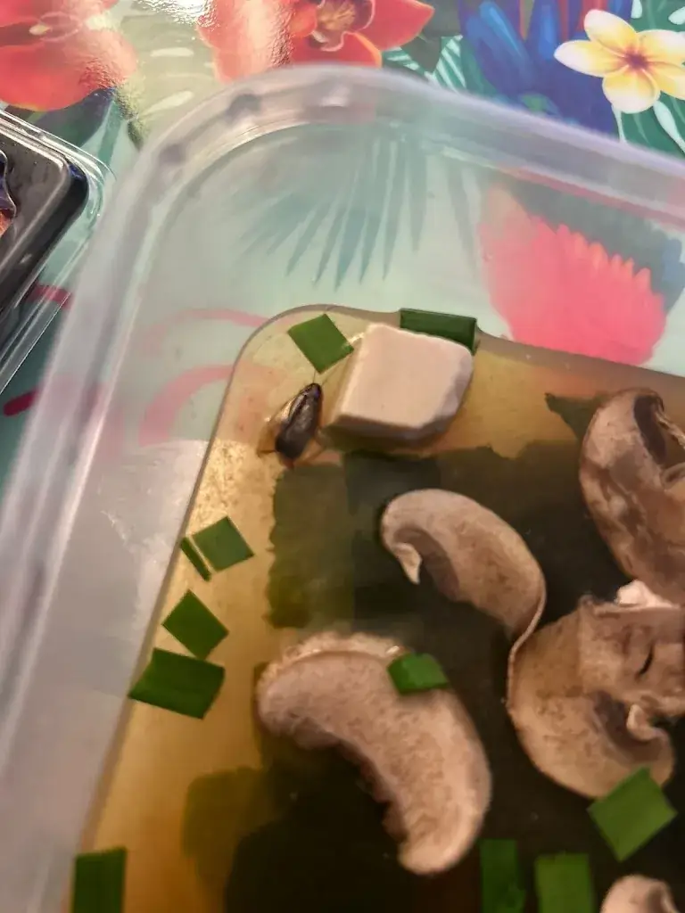 Menü_SUSHI S’THAI_Savigny-le-Temple_Bild_1