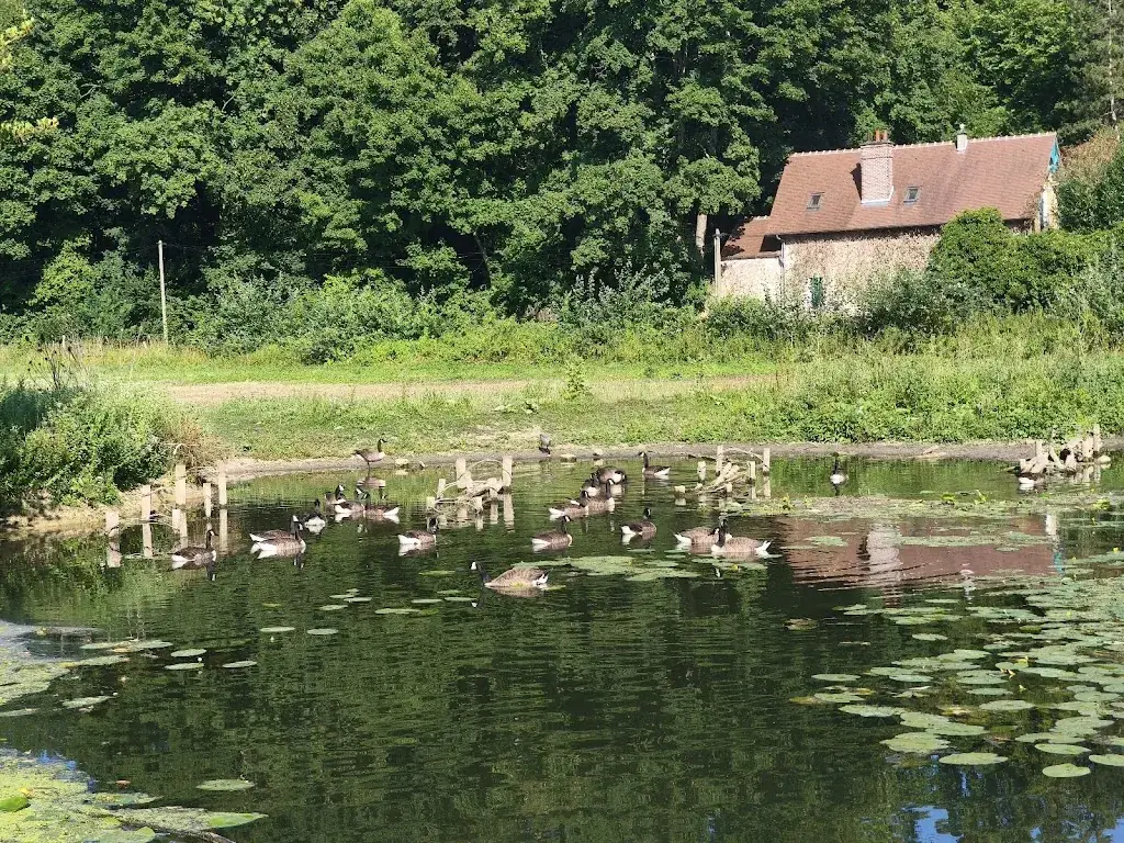 Sophie Ribeiro Da Mota_Le Moulin de Jarcy_Varennes-Jarcy_review
