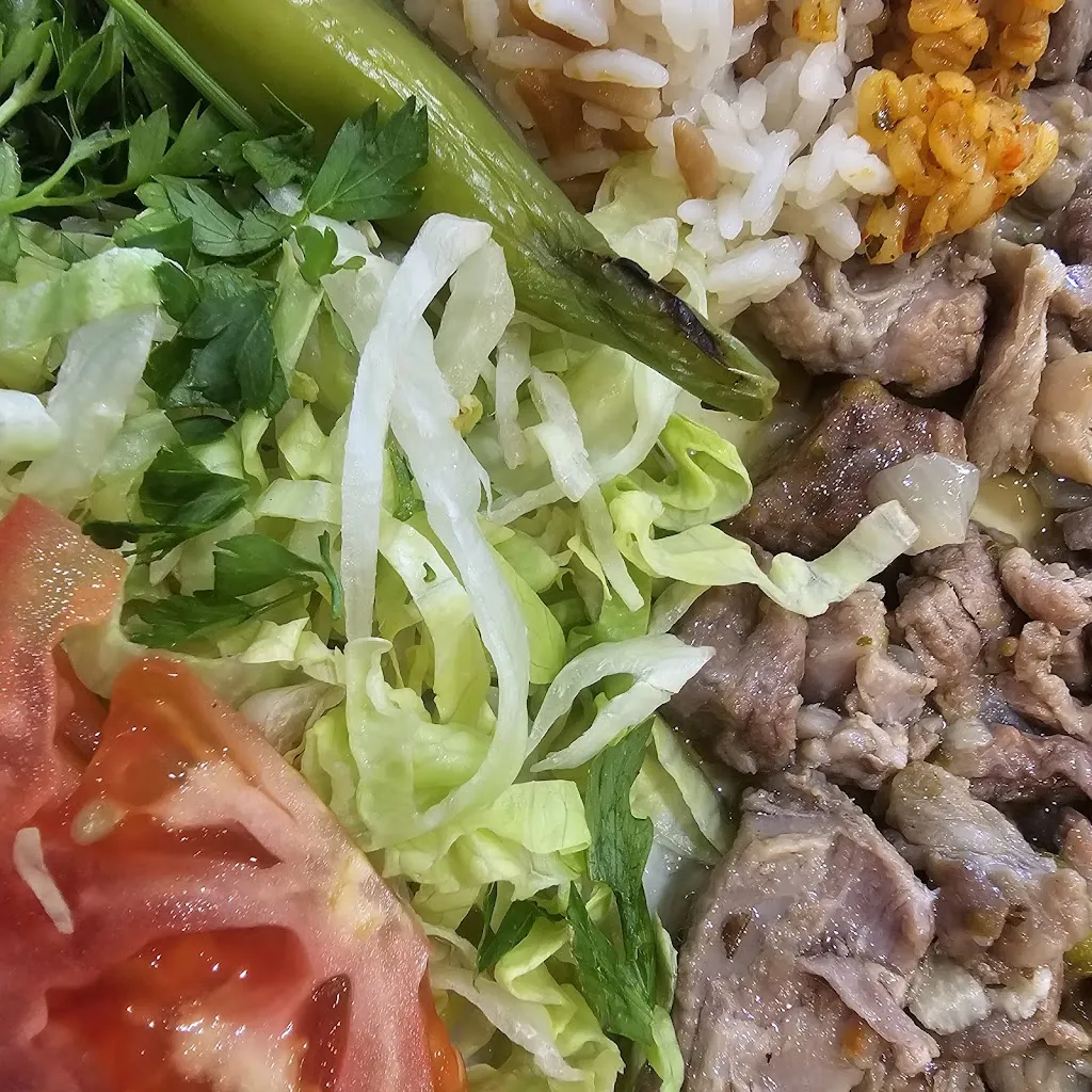 Guillaume CARPENTIER_Testi Grill Valenton_Valenton_review