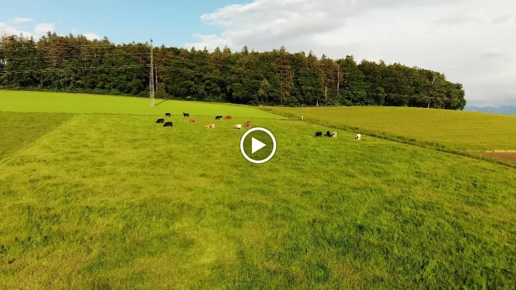 burri's farm_Cordast_slider_image_2