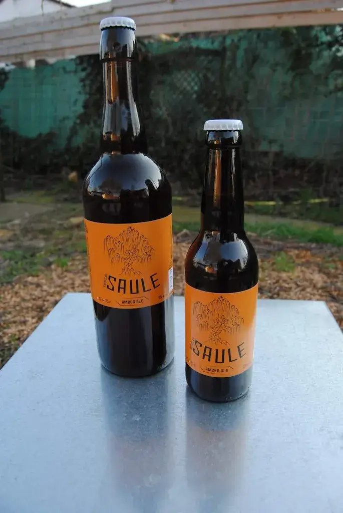 Menü_Microbrasserie du Saule - Bières et Limonades artisanales_Villenoy_Bild_4