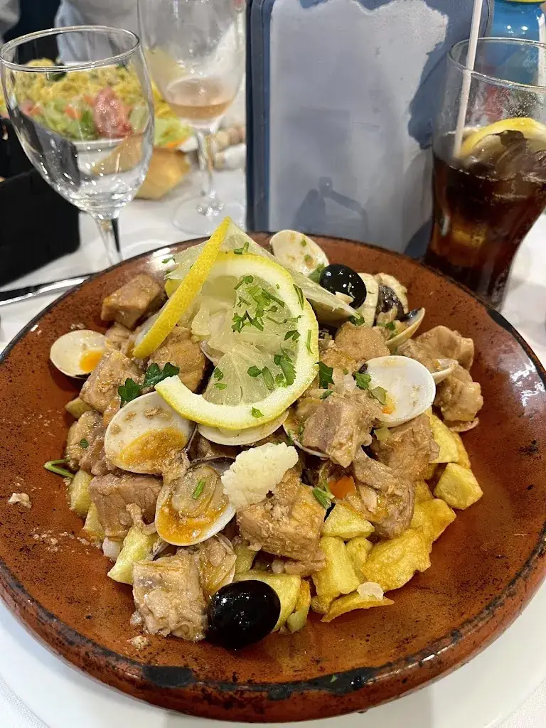 Beatriz Rocha Pereira_Lusitano_Villemomble_review