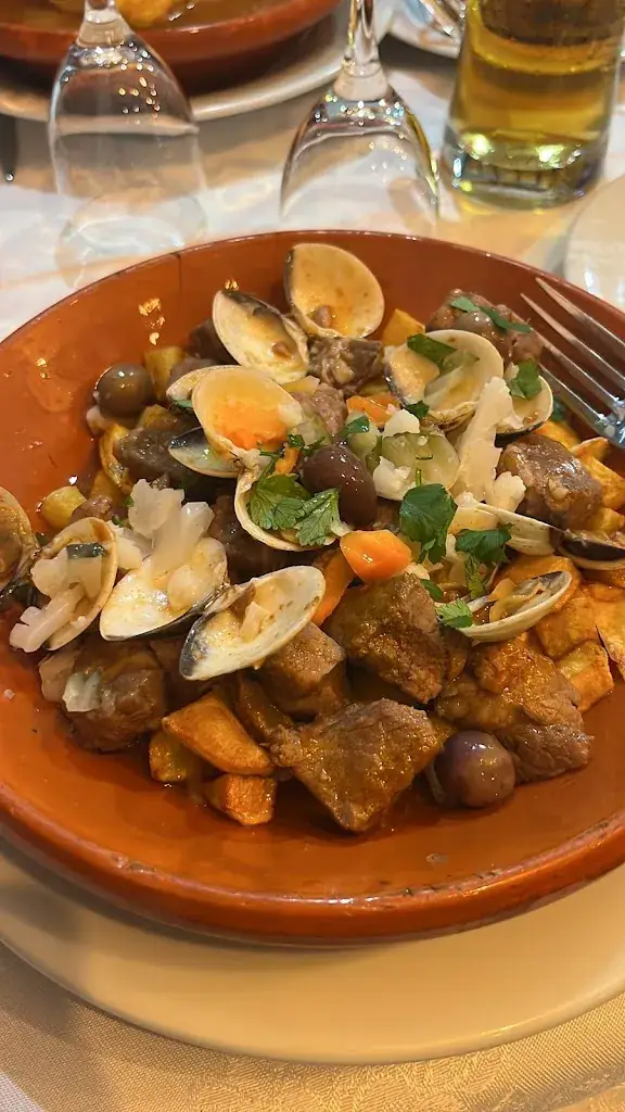 S P.B_Lusitano_Villemomble_review