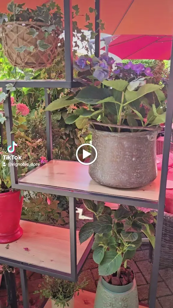 Café-Restaurant Vignoble Doré_Russin_slider_image_2