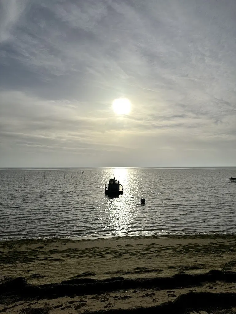 Ole Kern_LES PIEDS DANS L'EAU_Anthy-sur-Léman_review