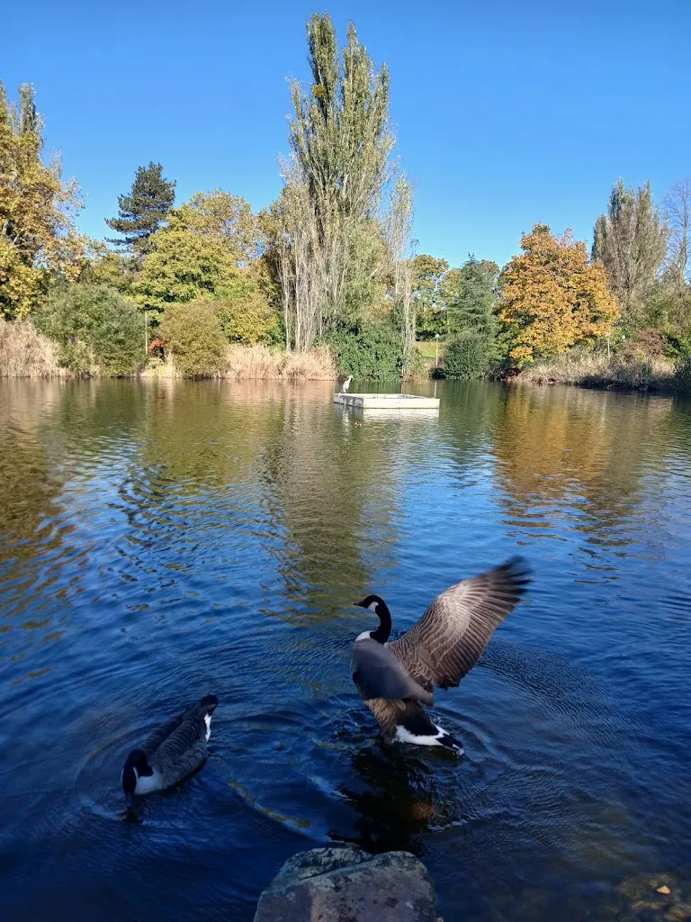 Restaurant Les Chanteraines_Villeneuve-la-Garenne_slider_image_3