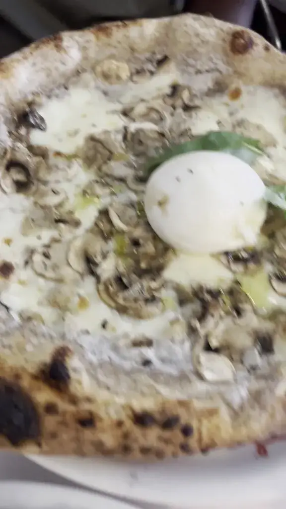 Gruppomimo - Vincennes_Vincennes_slider_image_2