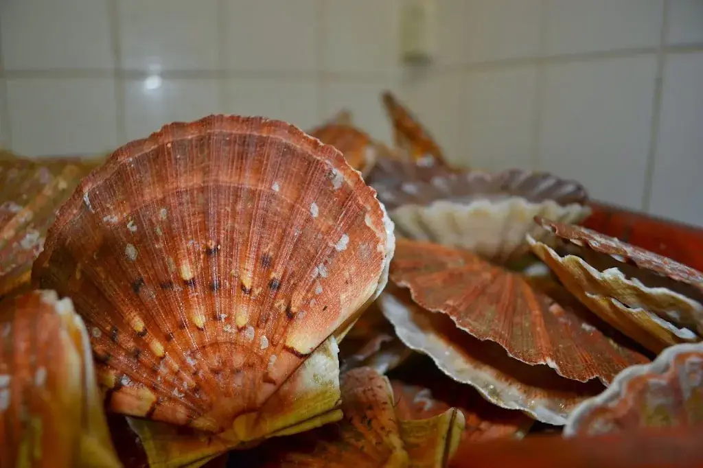 Auberge de la Mère Duval_Auzouville-sur-Saâne_slider_image_2