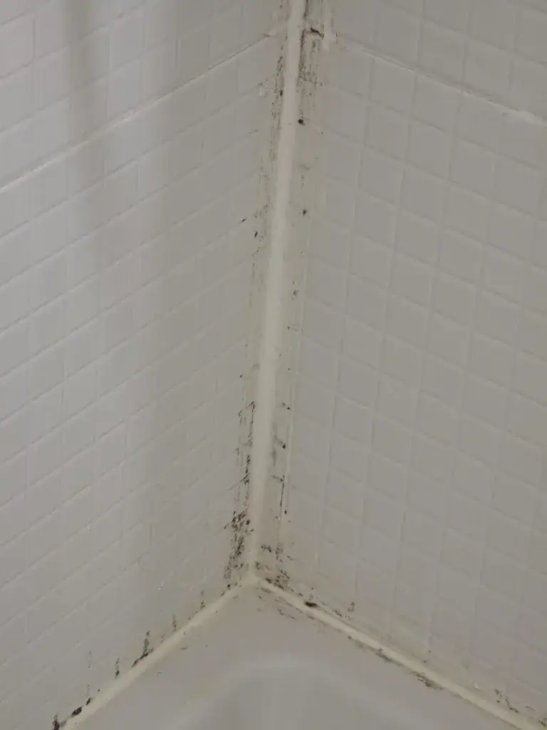 Dan Andrei Kluska_Hôtel Restaurant Campanile_Ferney-Voltaire_review