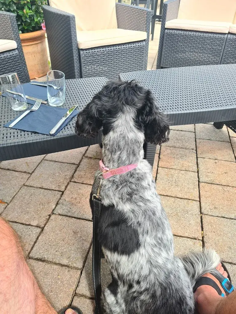 Cheyne Marley_Hostel La Source_Saint-Cyr-du-Bailleul_review