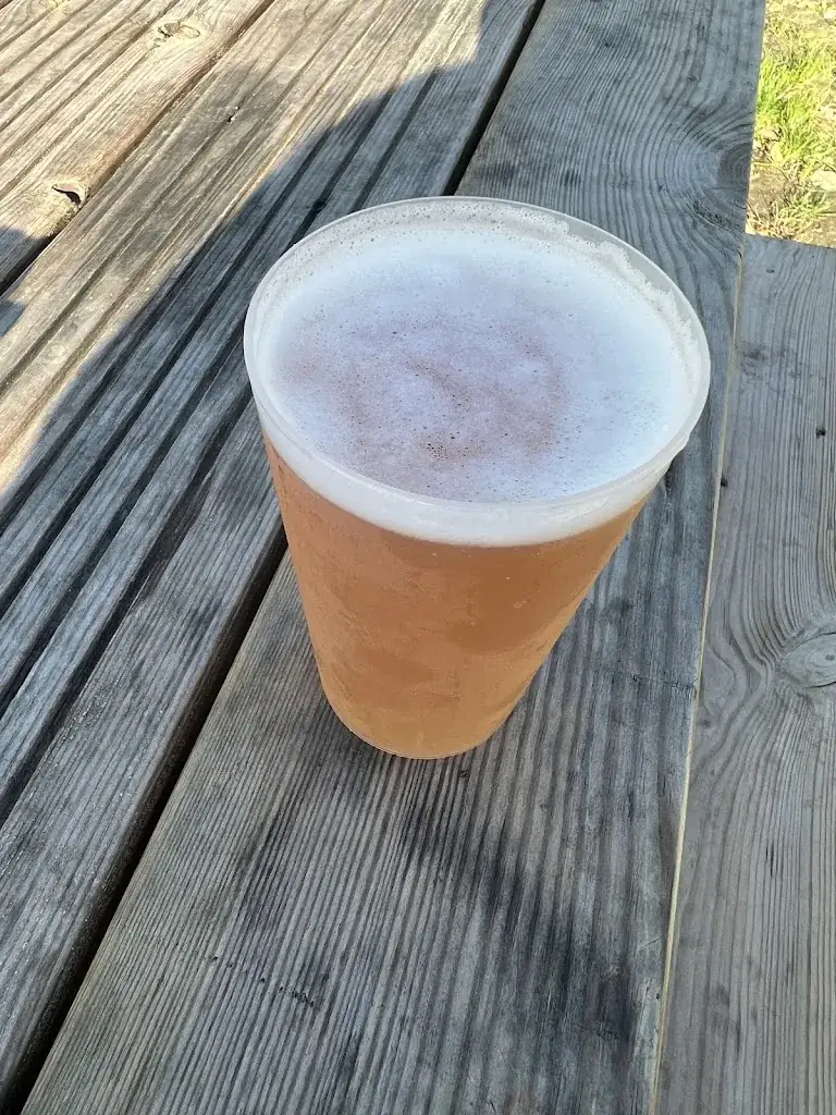 Ashley Coppin_Terminus Carteret_Barneville-Carteret_review