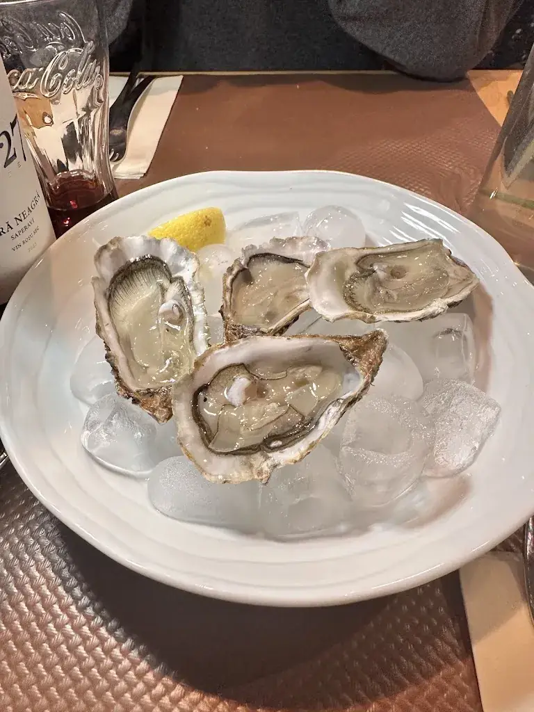 Isabella Ariede_SISTERS_Frangy_review