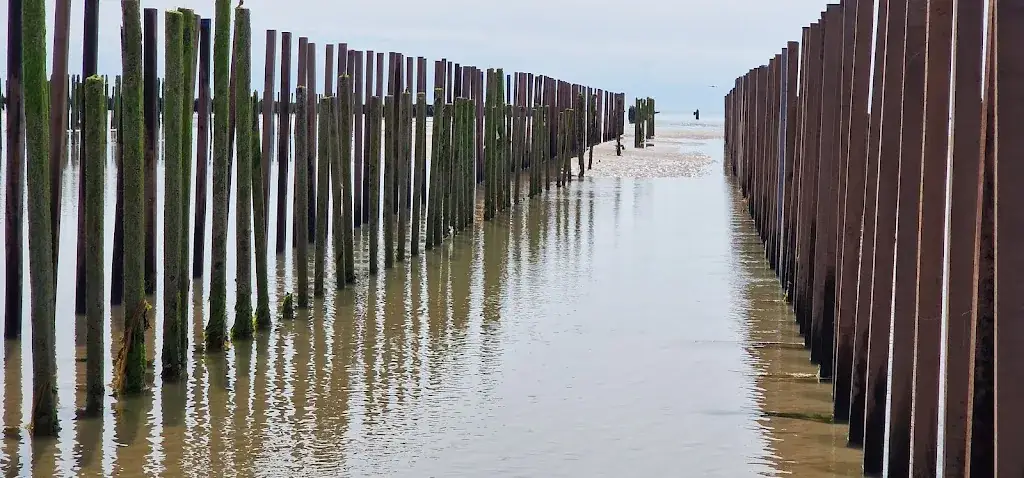 Ian Halliwell_Plage de la Potinière_Barneville-Carteret_avis