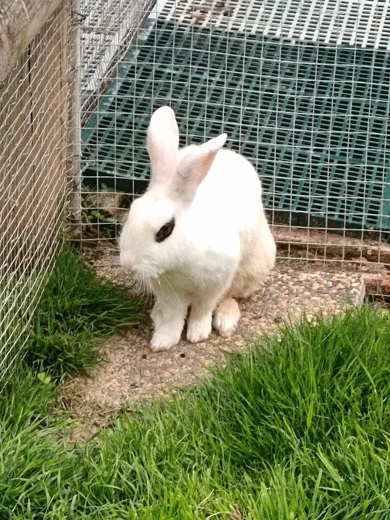 Mélina FRUCTUEUX_Verger de Roncheville/parc animalier Minigolf/rôtisserie du verger_Bavent_recensione