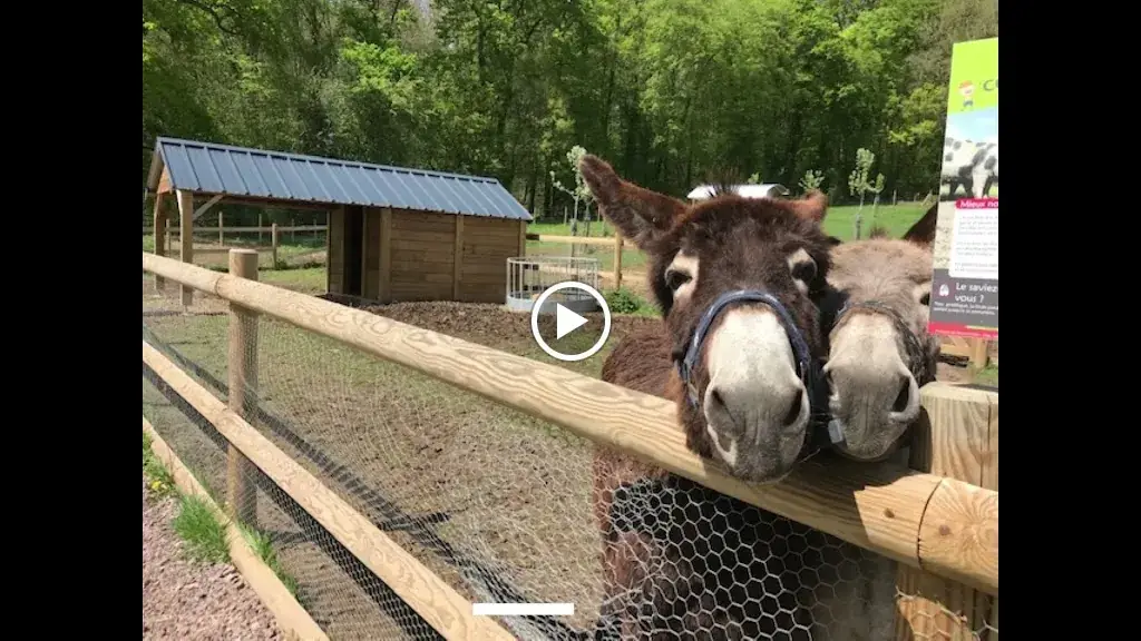 Verger de Roncheville/parc animalier Minigolf/rôtisserie du verger_Bavent_slider_image_2