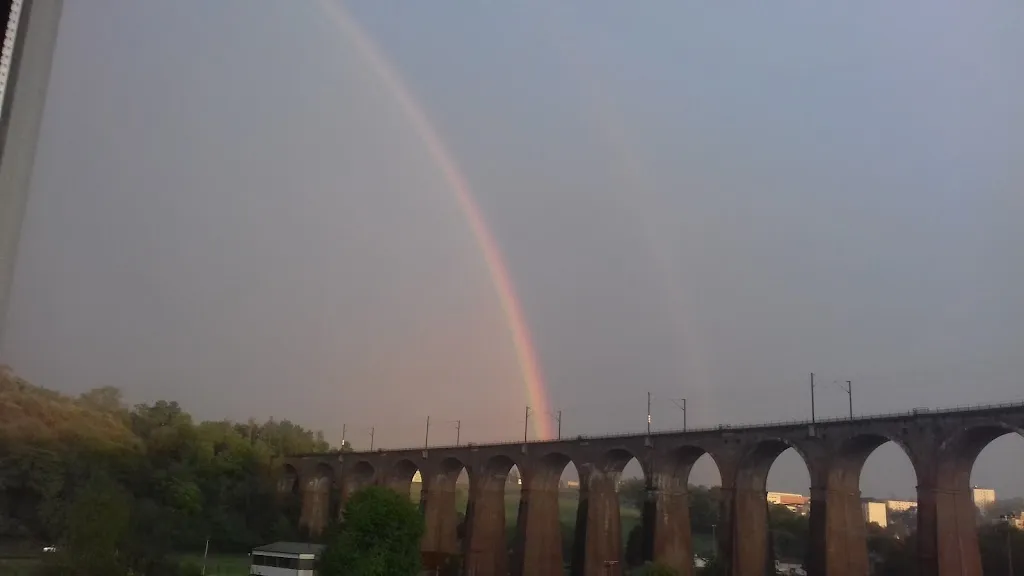 Spidy Pizz_Barentin_slider_image_2