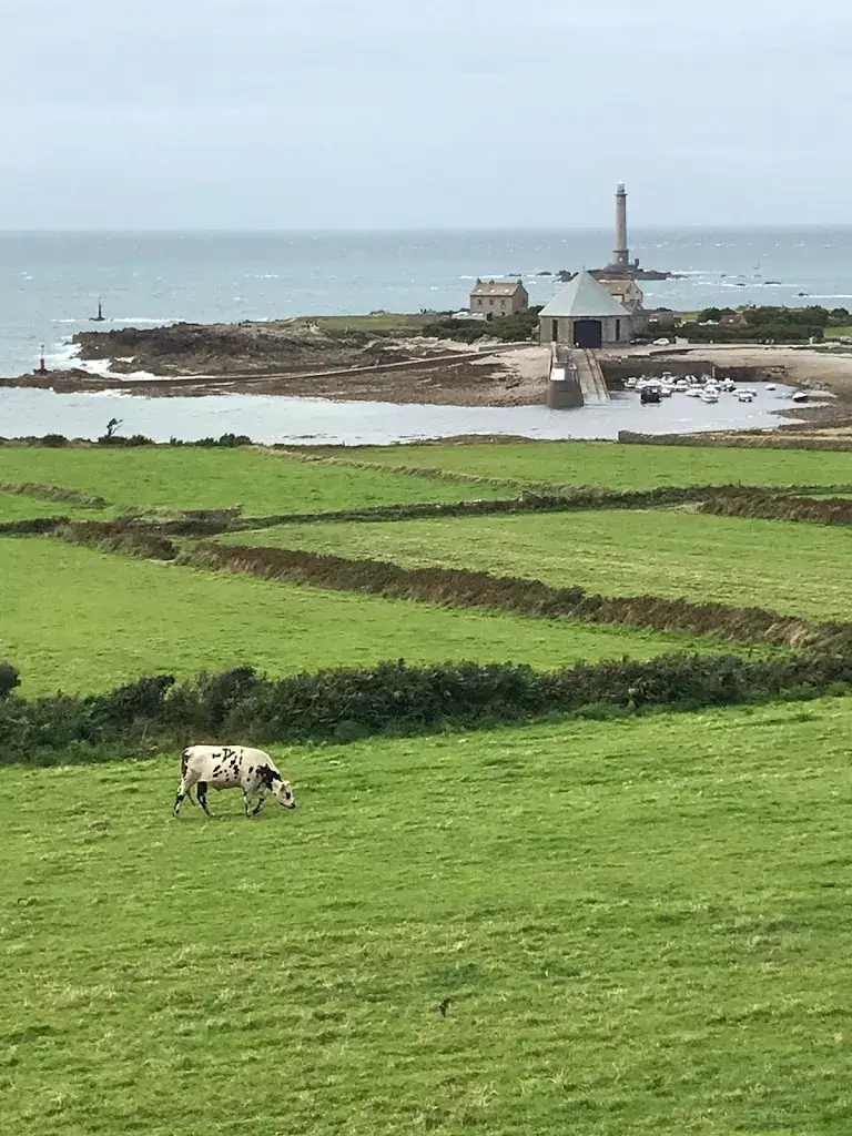 Jean-Thomas Renaud_Ô P'tit Crabe de Goury_Hague_review