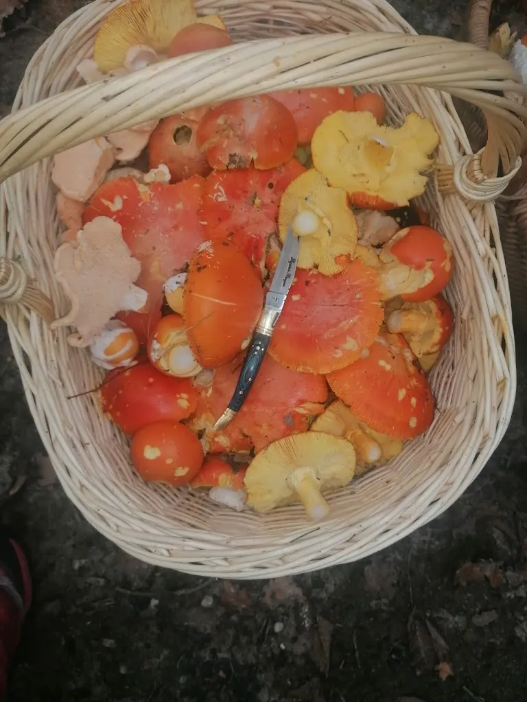 Menu_Le Bistrot_Gannat_image_9