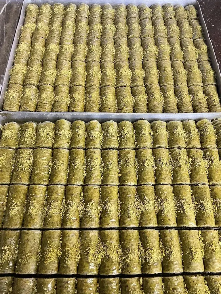 Murat Can_Kanki Gannat_Gannat_review