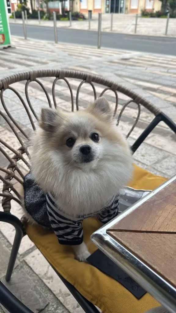 Gabby S_Le XV_Beuzeville_review