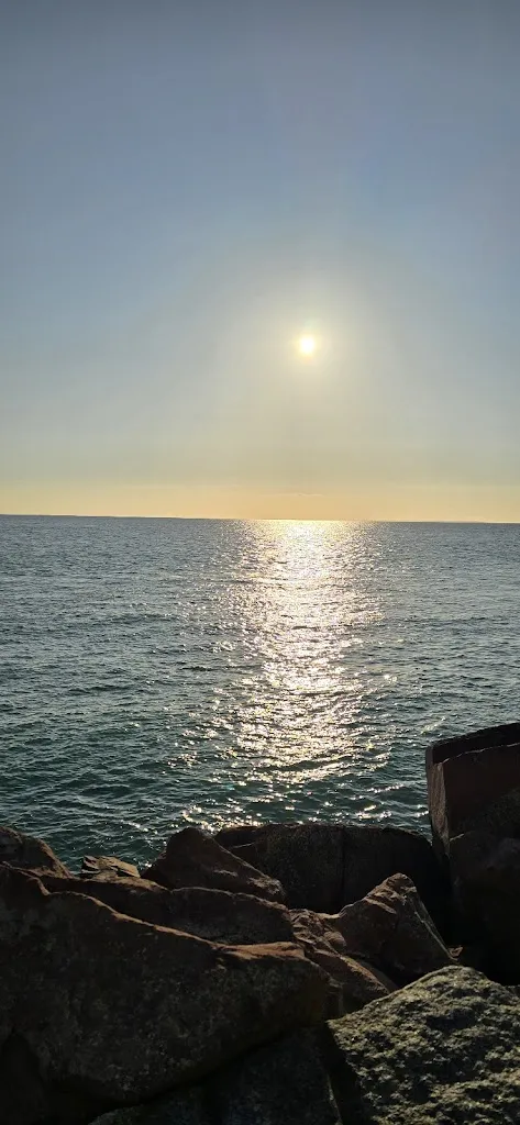 Shaun Turner_Le grand herbet_Blainville-sur-Mer_reseña