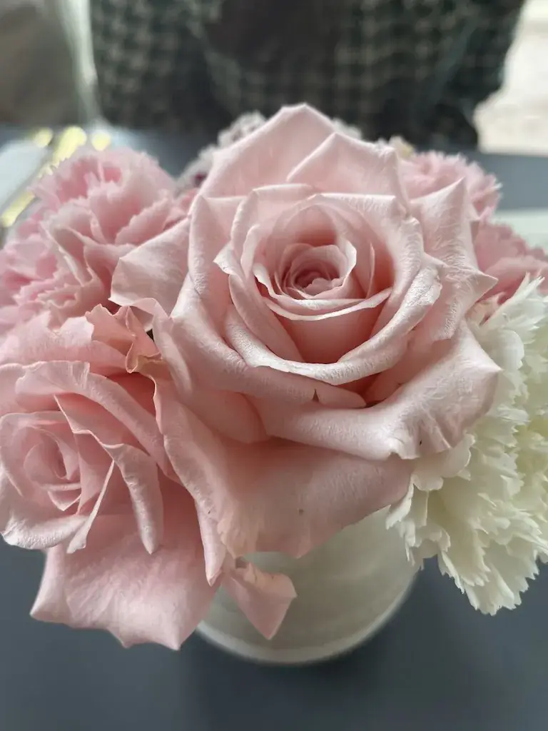 Anna Romy_Les Planchettes_Blonville-sur-Mer_recensione