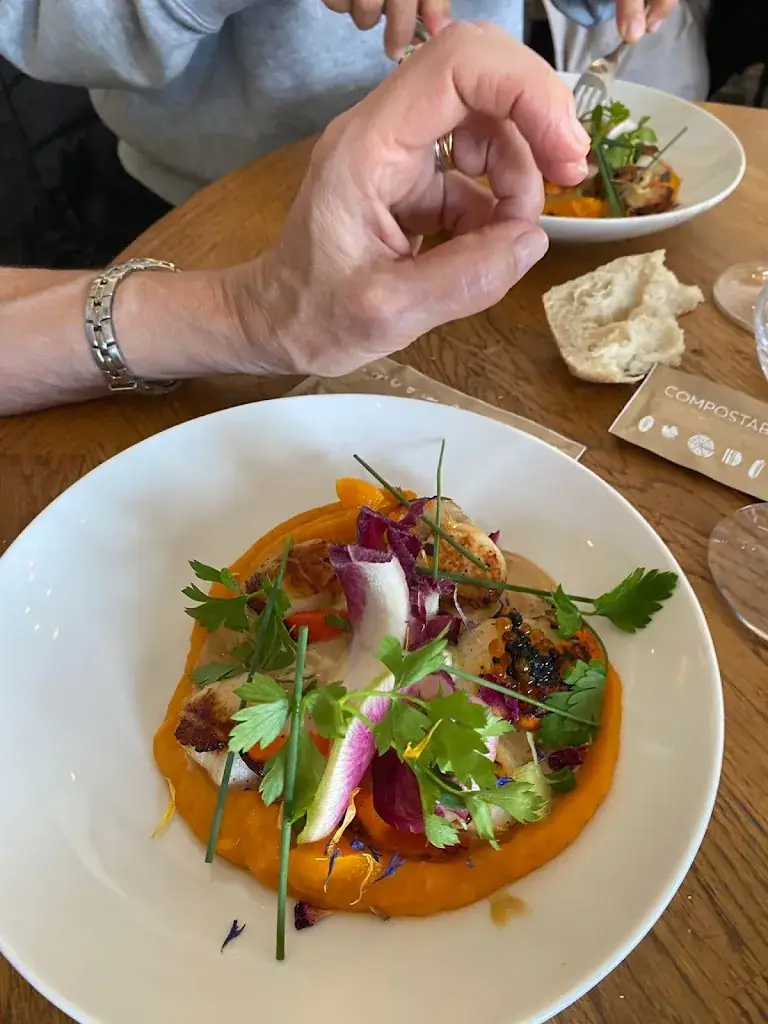 M. Engin Satana_La Digue de Villers_Villers-sur-Mer_review