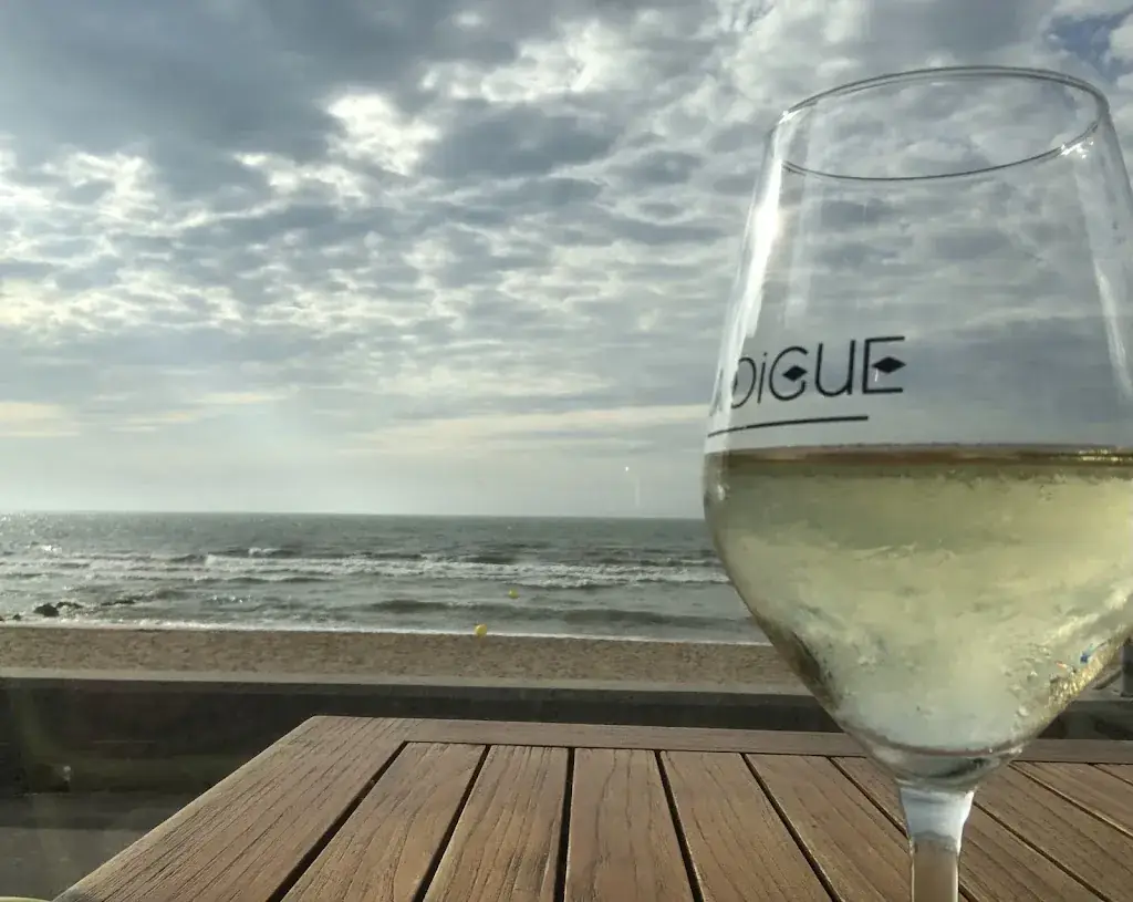 Carl Liversage_La Digue de Villers_Villers-sur-Mer_review