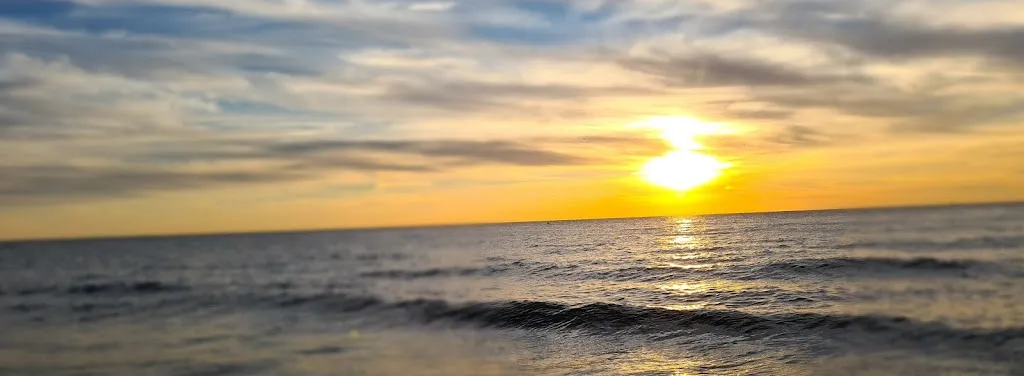 BA Woll_Les Ammonites_Benerville-sur-Mer_review