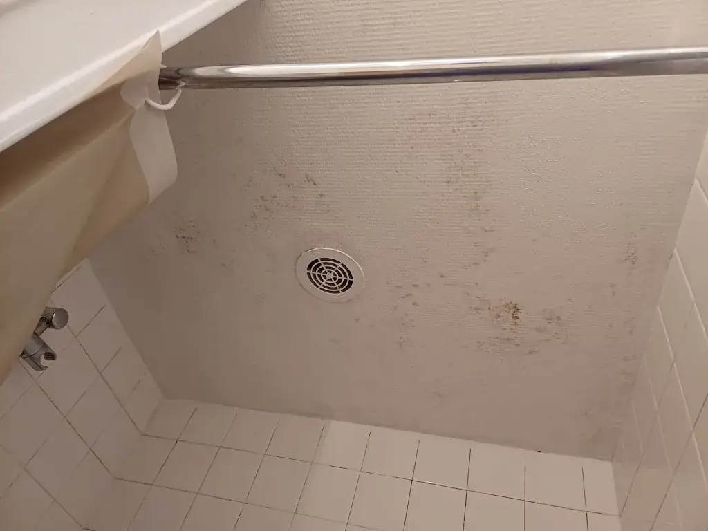 Sandrine Almeida_Le Normand_Bolbec_reseña