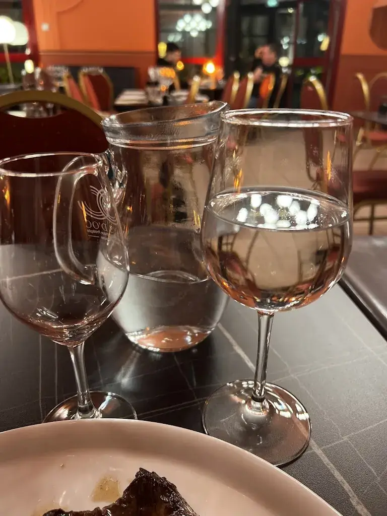 Vlastimil Kucera_HOTEL RESTAURANT ABRIBIS_Firminy_review