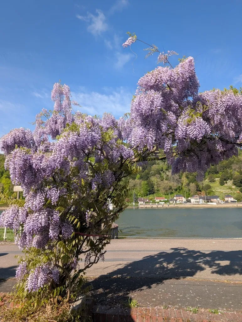 Auberge du Bac_Jumièges_slider_image_3