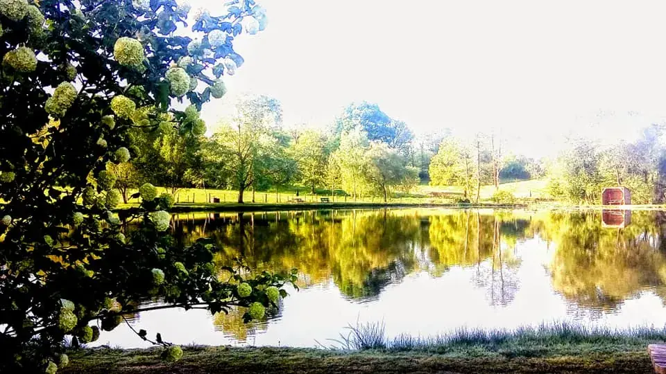 Les Etangs du Val de Sée restaurant in Saint-Georges-de-Livoye