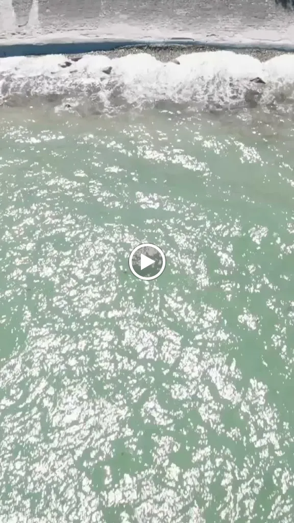 LE GOELAND 1937_Bretteville_slider_image_2