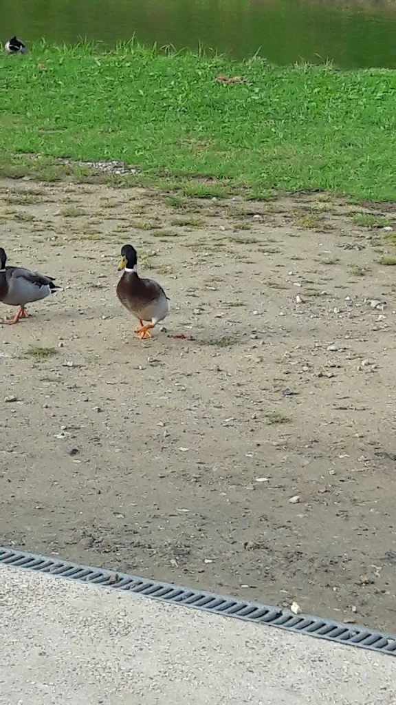 Royal Breteuil_Breteuil_slider_image_1