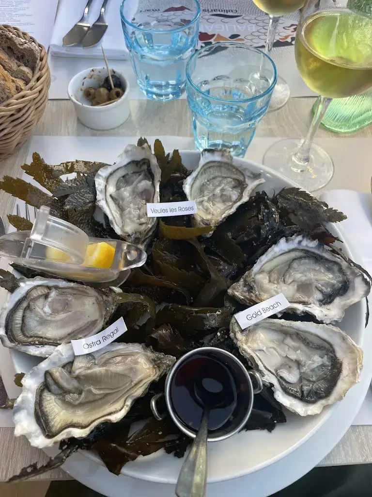 Aleksandr Shabanov-Kube_The Baligan_Cabourg_review