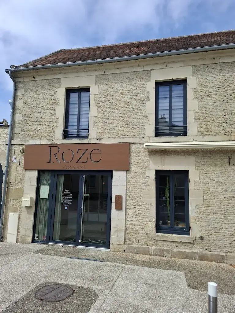 Alexandre Clerc_Roze_Mathieu_review