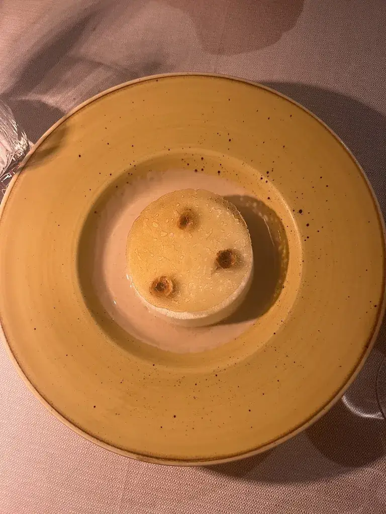 Zdravka Dzajic_La Rotonde Nice_Nice_review