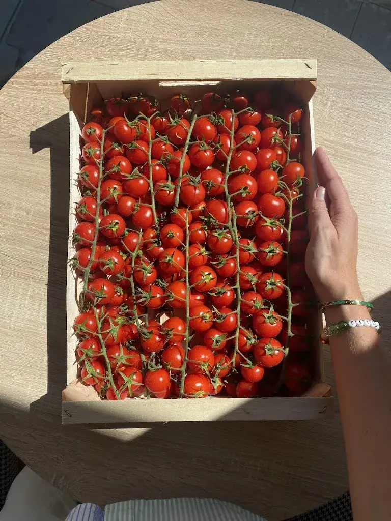 Menu_Apopino_Nice_image_9