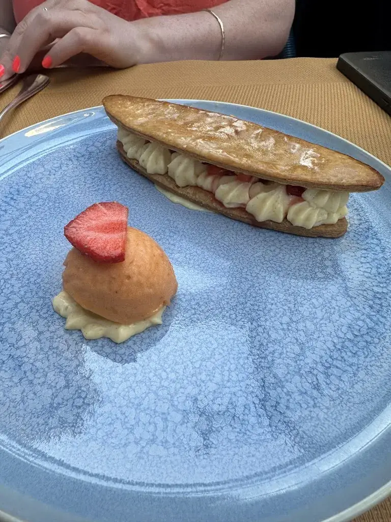 Matthew Bassant_Apopino_Nice_review