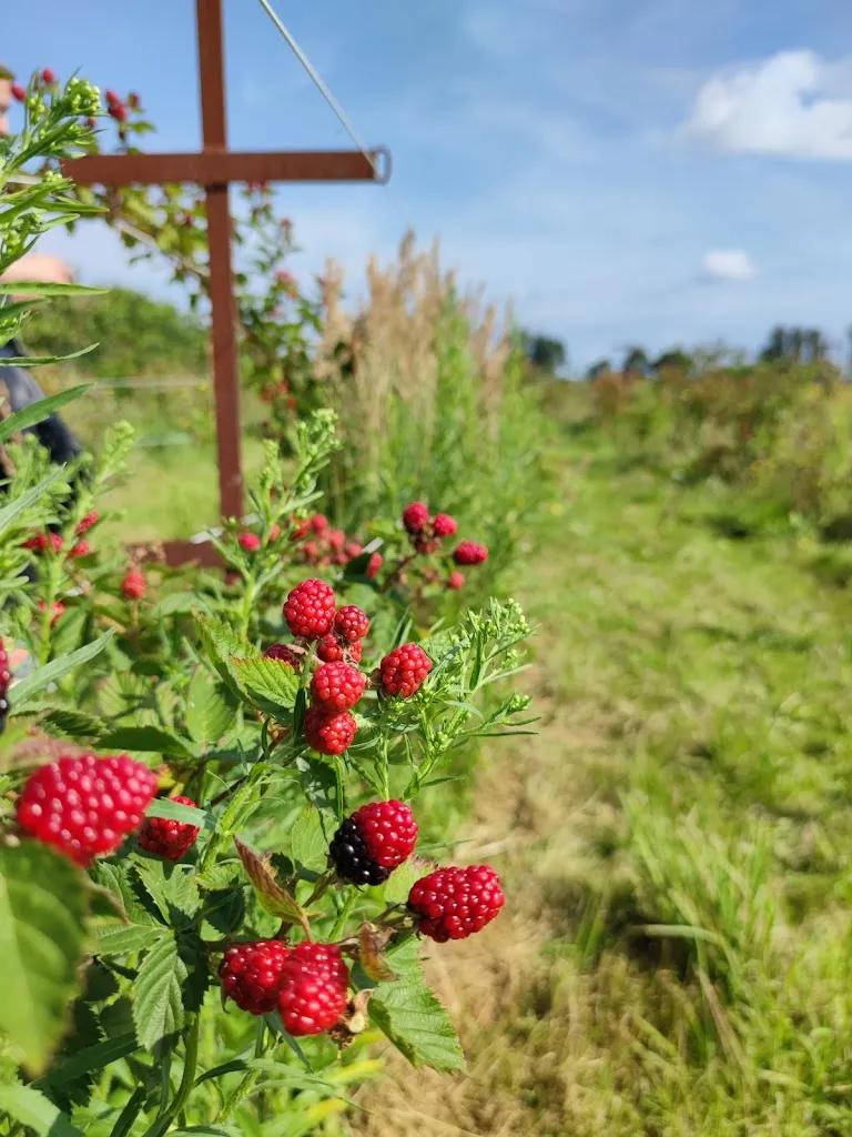 Cueillette de Cagny_Cagny_slider_image_3