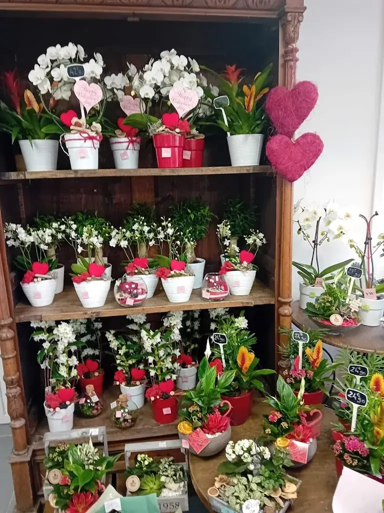 Vimont Corinne_Cagny_slider_image_3