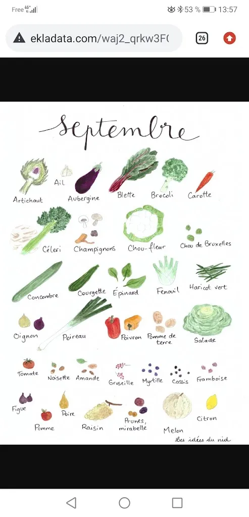 Menu_Les halles cauchoises_Cany-Barville_image_2