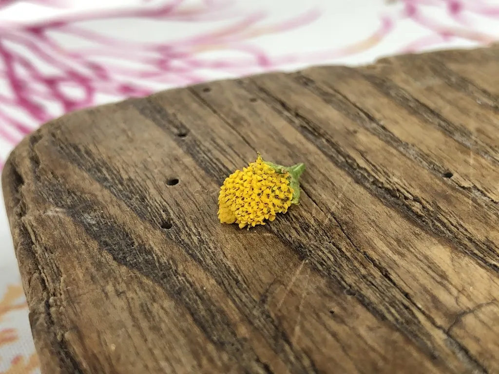 Menu_Manoir de Rétival_Rives-en-Seine_image_3