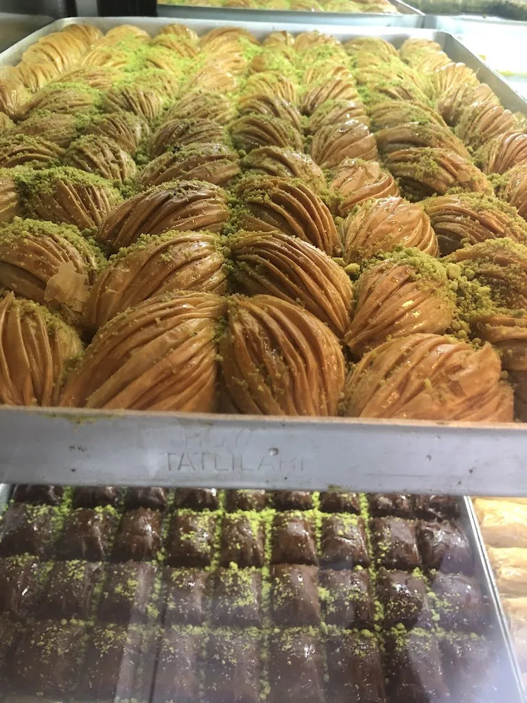 Menu_Mimosa_Canteleu_image_3