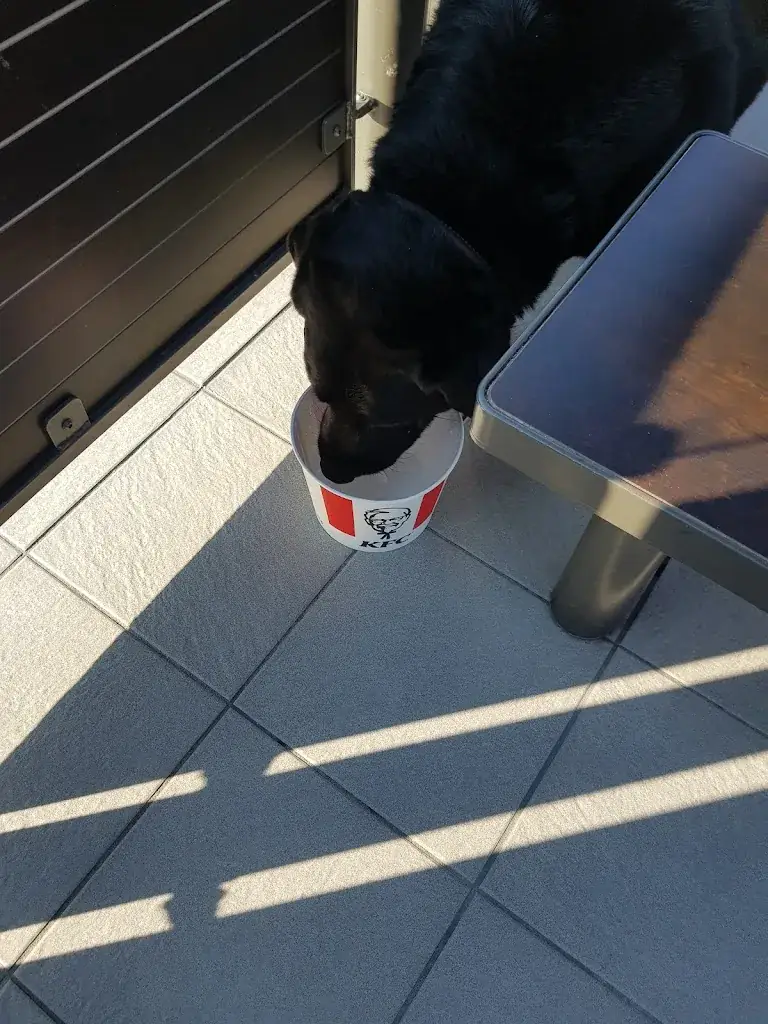 Mike Mullett_KFC_Grand-Quevilly_review