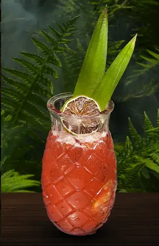 Menu_Rodizio Brazil - Rouen_Rouen_image_5