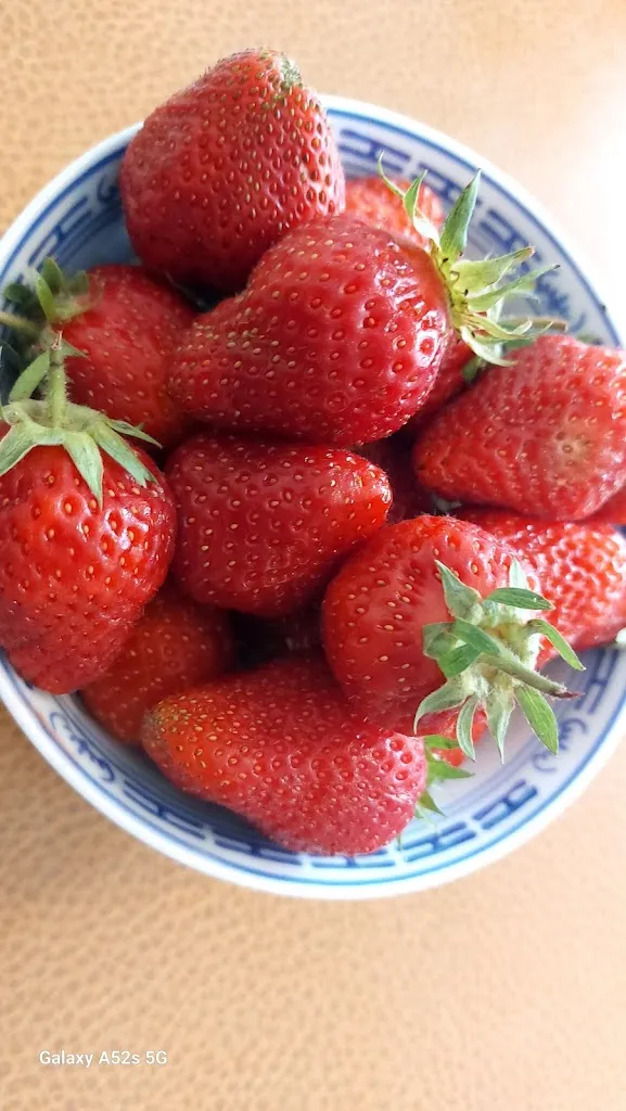 Menu_La Cantine_Caumont-sur-Aure_image_6